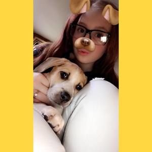 Meet your Posher, Abigail